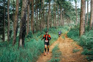 BIB: 
                            <button type="button" onclick="openModal(25742978)" class="btn btn-primary btn-sm float-right btn-popup" data-toggle="modal" data-target=".modal-high-quality">
                        <i class="fas fa-shopping-cart"></i> Add to Cart
                    </button>
                                            <button type="button" onclick="isThisMe(25742978, true)" class="btn btn-success btn-sm float-right btn-popup btn-isme hidden" data-toggle="tooltip" data-placement="bottom" title="นี่คือรูปของคุณใช่ไหม คลิกที่นี่เพื่อเอาเข้าอัลบั้ม">
                        <i class="fas fa-plus"></i> Add to album
                    </button>
                    <button type="button" onclick="isThisMe(25742978, false)" class="btn btn-warning btn-sm float-right btn-popup btn-isnotme hidden">
                        <i class="fas fa-ban"></i> Remove from album
                    </button>